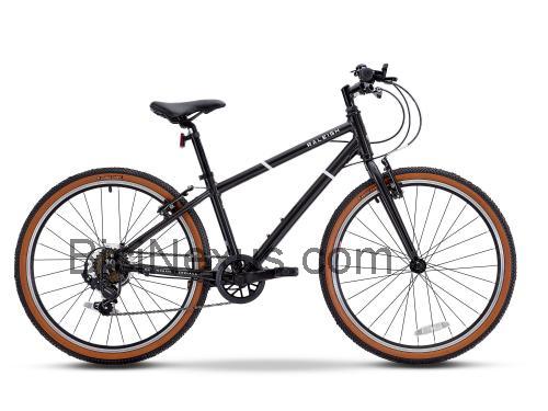 Raleigh Pop 24 ficha tecnica 